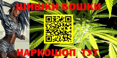 индика Нальчик