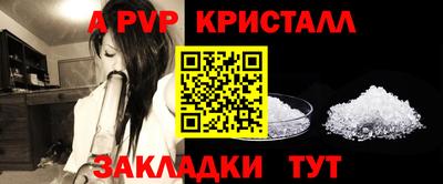 индика Нальчик