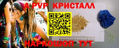 индика Нальчик